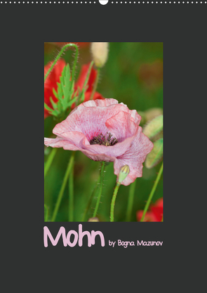 Mohn (Wandkalender 2021 DIN A2 hoch) von Mazunov,  Bogna