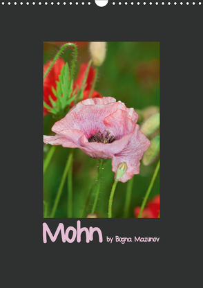 Mohn (Wandkalender 2021 DIN A3 hoch) von Mazunov,  Bogna