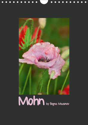 Mohn (Wandkalender 2021 DIN A4 hoch) von Mazunov,  Bogna