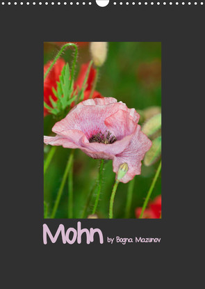 Mohn (Wandkalender 2022 DIN A3 hoch) von Mazunov,  Bogna