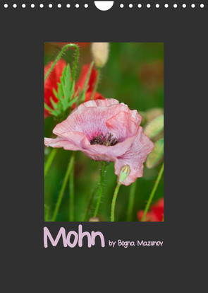 Mohn (Wandkalender 2022 DIN A4 hoch) von Mazunov,  Bogna