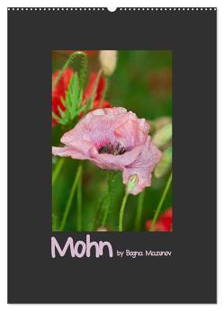 Mohn (Wandkalender 2024 DIN A2 hoch), CALVENDO Monatskalender von Mazunov,  Bogna