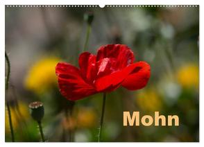 Mohn (Wandkalender 2024 DIN A2 quer), CALVENDO Monatskalender von Renken,  Erwin