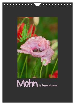 Mohn (Wandkalender 2024 DIN A4 hoch), CALVENDO Monatskalender von Mazunov,  Bogna