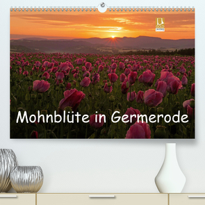 Mohnblüte in Germerode (Premium, hochwertiger DIN A2 Wandkalender 2021, Kunstdruck in Hochglanz) von Klapp,  Lutz