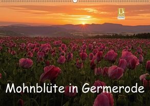 Mohnblüte in Germerode (Wandkalender 2018 DIN A2 quer) von Klapp,  Lutz