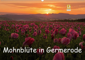 Mohnblüte in Germerode (Wandkalender 2020 DIN A2 quer) von Klapp,  Lutz