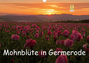 Mohnblüte in Germerode (Wandkalender 2020 DIN A3 quer) von Klapp,  Lutz