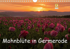 Mohnblüte in Germerode (Wandkalender 2020 DIN A4 quer) von Klapp,  Lutz