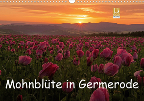 Mohnblüte in Germerode (Wandkalender 2021 DIN A3 quer) von Klapp,  Lutz