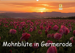 Mohnblüte in Germerode (Wandkalender 2022 DIN A2 quer) von Klapp,  Lutz