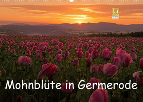 Mohnblüte in Germerode (Wandkalender 2022 DIN A2 quer) von Klapp,  Lutz