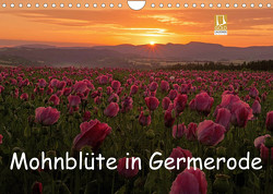 Mohnblüte in Germerode (Wandkalender 2022 DIN A4 quer) von Klapp,  Lutz