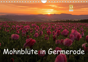 Mohnblüte in Germerode (Wandkalender 2022 DIN A4 quer) von Klapp,  Lutz