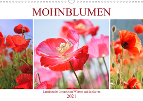 Mohnblumen. Leuchtender Liebreiz auf Wiesen und in Gärten (Wandkalender 2021 DIN A3 quer) von Hurley,  Rose