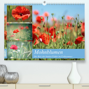 Mohnblumen (Premium, hochwertiger DIN A2 Wandkalender 2023, Kunstdruck in Hochglanz) von Deter,  Thomas