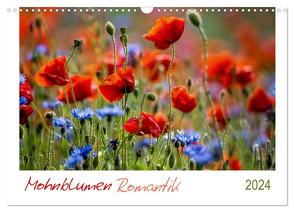 Mohnblumen Romantik (Wandkalender 2024 DIN A3 quer), CALVENDO Monatskalender von Geisdorf,  Linda