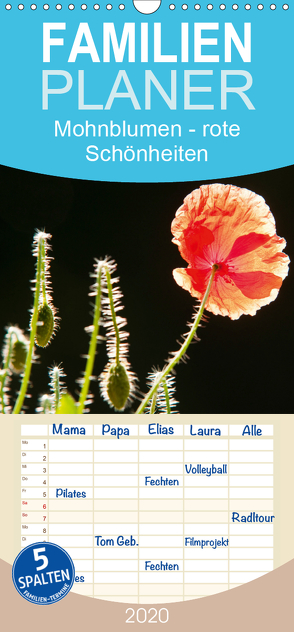 Mohnblumen – rote Schönheiten – Familienplaner hoch (Wandkalender 2020 , 21 cm x 45 cm, hoch) von Bölts,  Meike