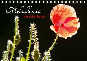 Mohnblumen – rote Schönheiten (Tischkalender 2020 DIN A5 quer) von Bölts,  Meike