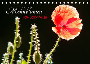 Mohnblumen – rote Schönheiten (Tischkalender 2022 DIN A5 quer) von Bölts,  Meike