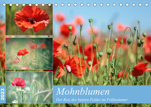 Mohnblumen (Tischkalender 2023 DIN A5 quer) von Deter,  Thomas