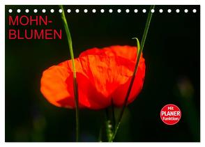 Mohnblumen (Tischkalender 2024 DIN A5 quer), CALVENDO Monatskalender von Jäger,  Anette/Thomas