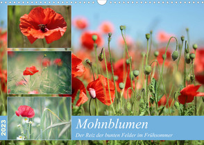 Mohnblumen (Wandkalender 2023 DIN A3 quer) von Deter,  Thomas