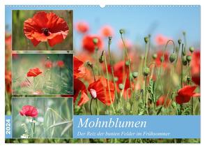 Mohnblumen (Wandkalender 2024 DIN A2 quer), CALVENDO Monatskalender von Deter,  Thomas