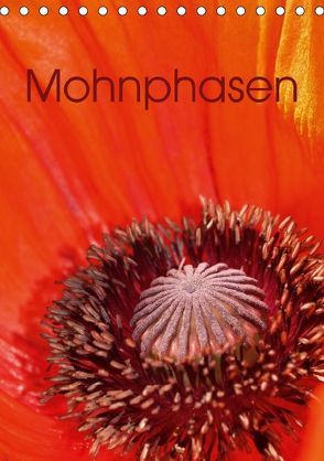 Mohnphasen (Tischkalender 2018 DIN A5 hoch) von Brigitte Deus-Neumann,  Dr.