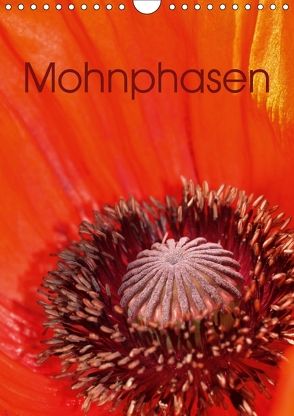 Mohnphasen (Wandkalender 2018 DIN A4 hoch) von Brigitte Deus-Neumann,  Dr.