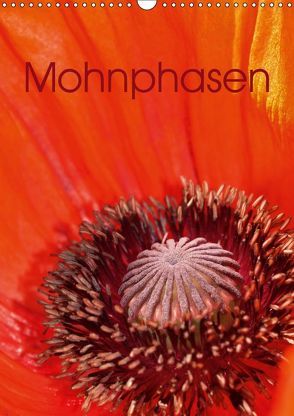 Mohnphasen (Wandkalender 2019 DIN A3 hoch) von Brigitte Deus-Neumann,  Dr.