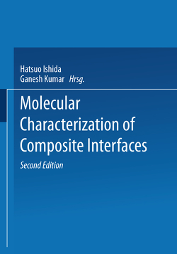 Molecular Characterization of Composite Interfaces von von Rubinowicz,  Adalbert