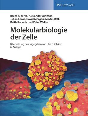 Molekularbiologie der Zelle von Alberts,  Bruce, Häcker,  Bärbel, Horstmann,  Claudia, Johnson,  Alexander D., Lewis,  Julian, Morgan,  David, Prowald,  Alexandra, Raff,  Martin, Roberts,  Keith, Schäfer,  Ulrich, Walter,  Peter