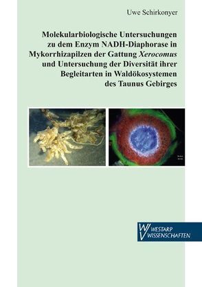 Molekularbiologische Untersuchungen zu dem Enzym NADH-Diaphorase in Mykorrhizapilzen der Gattung Xerocomus und Untersuchung der Diversität ihrer Begleitarten in Waldökosystemen des Taunus Gebirges von Schirkonyer,  Uwe