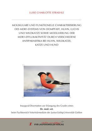 MOLEKULARE UND FUNKTIONELLE CHARAKTERISIERUNG DES MDR1-SYSTEMS VON DOMPFAFF, HUHN, LUCHS UND WILDKATZE SOWIE MODULIERUNG DER MDR1-EFFLUXAKTIVITÄT DURCH VERSCHIEDENE ANTIPARASITIKA BEI HUHN, WILDKATZE, KATZE UND HUND von Straehle,  Luise Charlotte