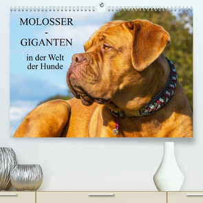 Molosser – Giganten in der Welt der Hunde (Premium, hochwertiger DIN A2 Wandkalender 2022, Kunstdruck in Hochglanz) von Starick,  Sigrid