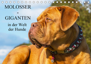 Molosser – Giganten in der Welt der Hunde (Tischkalender 2021 DIN A5 quer) von Starick,  Sigrid