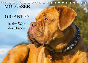 Molosser – Giganten in der Welt der Hunde (Tischkalender 2023 DIN A5 quer) von Starick,  Sigrid