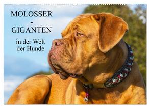 Molosser – Giganten in der Welt der Hunde (Wandkalender 2024 DIN A2 quer), CALVENDO Monatskalender von Starick,  Sigrid