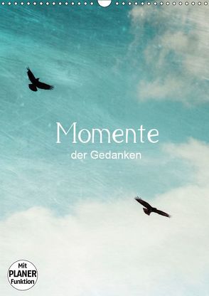 Momente der Gedanken (Wandkalender 2019 DIN A3 hoch) von Wasinger,  Renate