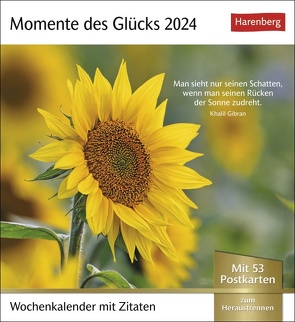 Momente des Glücks Postkartenkalender 2024