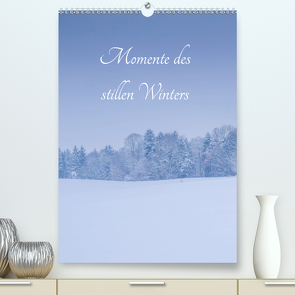 Momente des stillen Winters (Premium, hochwertiger DIN A2 Wandkalender 2020, Kunstdruck in Hochglanz) von Wasinger,  Renate