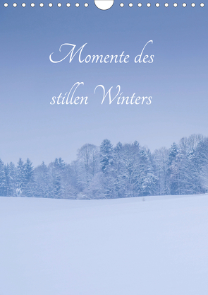 Momente des stillen Winters (Wandkalender 2021 DIN A4 hoch) von Wasinger,  Renate