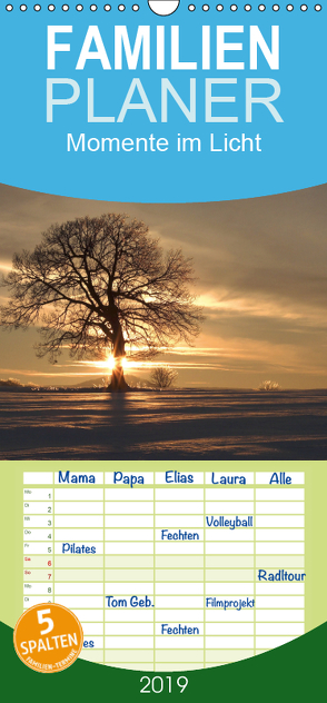 Momente im Licht – Familienplaner hoch (Wandkalender 2019 , 21 cm x 45 cm, hoch) von Engelhardt, Silvio