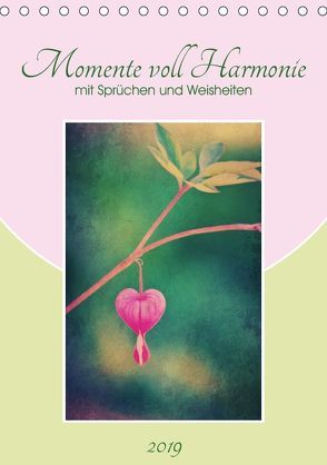 Momente voll Harmonie mit Sprüchen und Weisheiten (Tischkalender 2019 DIN A5 hoch) von DESIGN Photo + PhotoArt,  AD, Dölling,  Angela