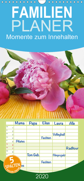 Momente zum Innehalten – Familienplaner hoch (Wandkalender 2020 , 21 cm x 45 cm, hoch) von Rau,  Heike