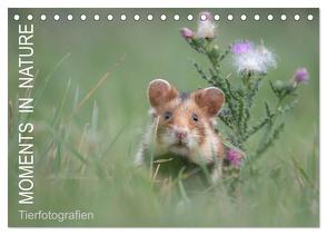 Moments in Nature (Tischkalender 2024 DIN A5 quer), CALVENDO Monatskalender von Buchmann,  Klaus