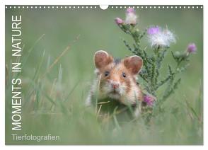 Moments in Nature (Wandkalender 2024 DIN A3 quer), CALVENDO Monatskalender von Buchmann,  Klaus