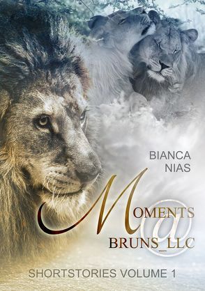 Moments@Bruns_LLC von Nias,  Bianca