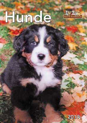 Monatskalender Keith Kimberlin Hunde 2019 von garant Verlag GmbH